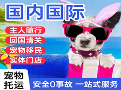 阆中古城机场快递国际宠物托运 【国